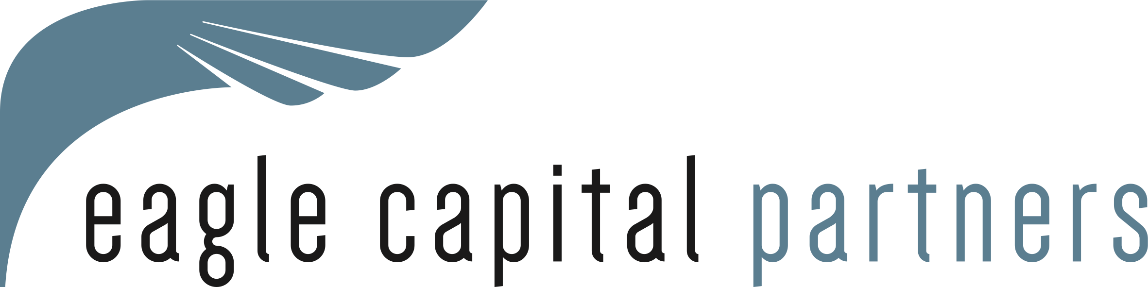 Eagle Capital Partners AG